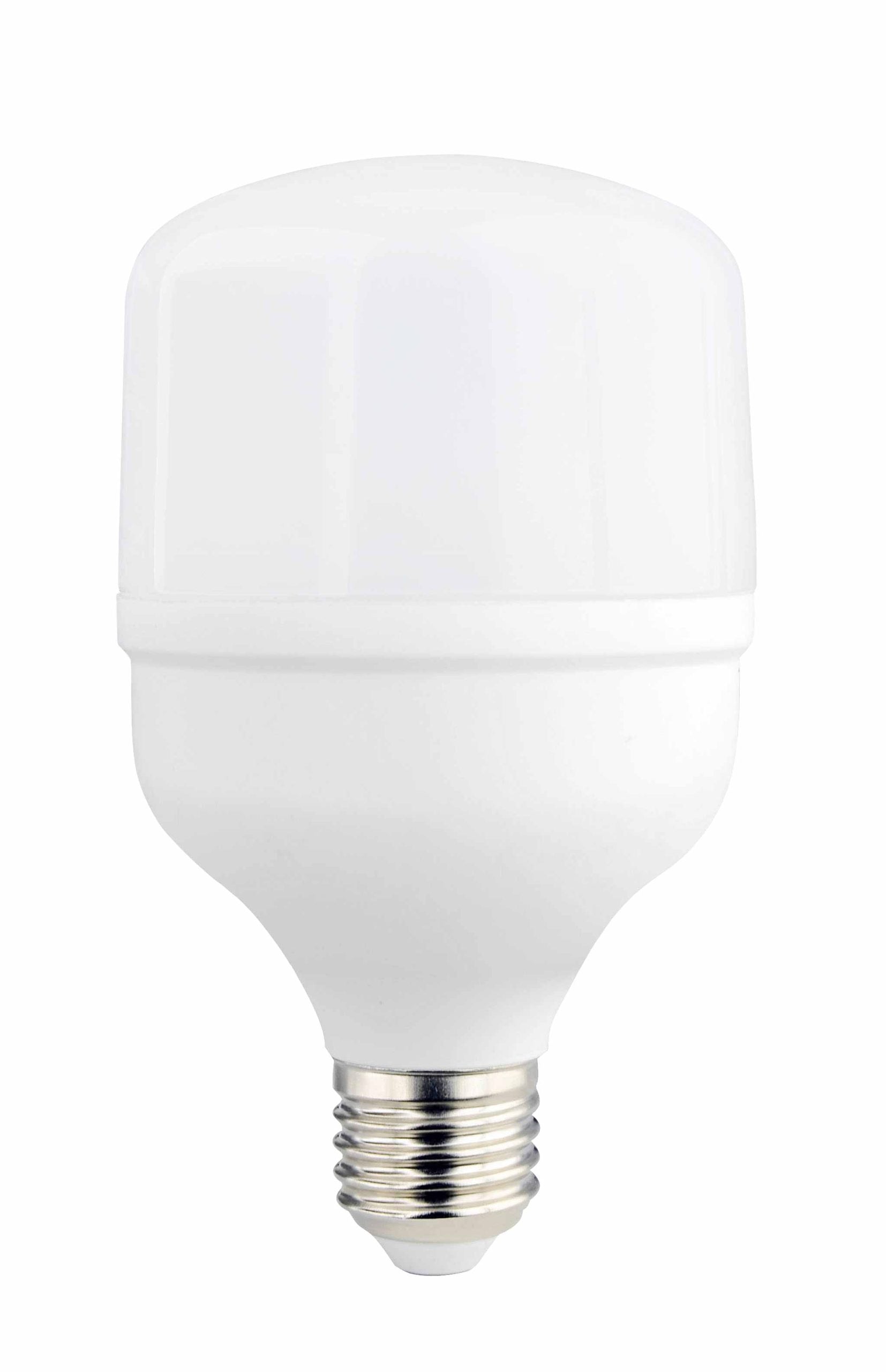 T80 E27 24W 6000K LED Sijalica