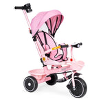 2u1 tricikl sa rotirajućim sedištem i sklopivom tendom Pink, ECOTOYS