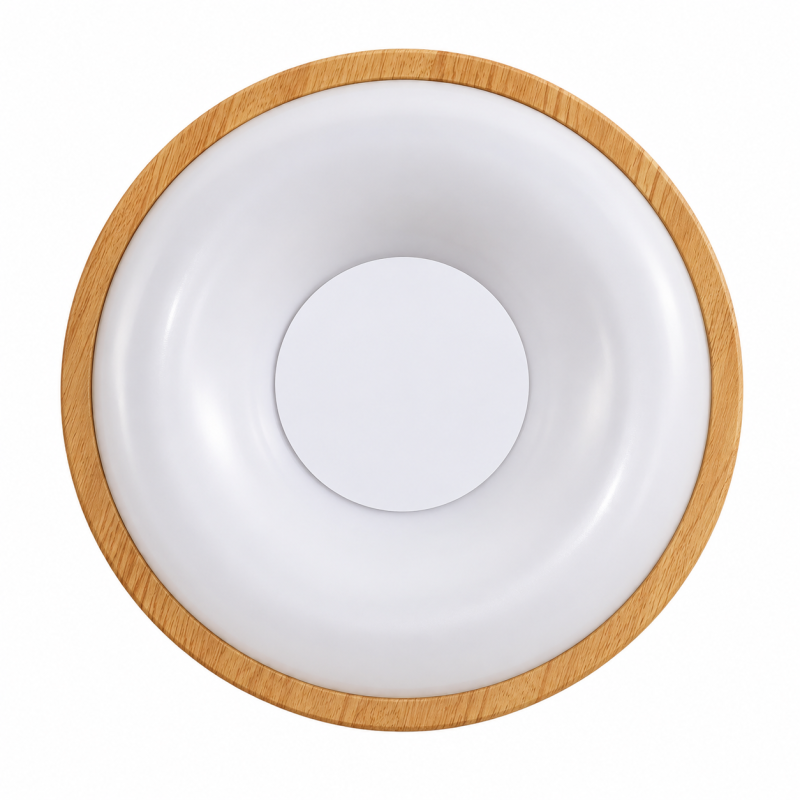 Led Plafonjera R-A48 36w