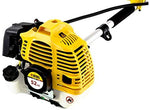 Set trimera Denzel TE-250 + DT-52 – električni i motorni trimer za kompletno održavanje dvorišta