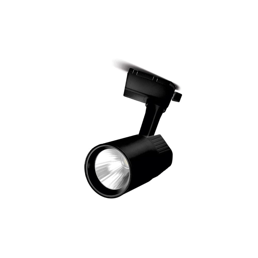 Šinski Reflektor 30W COB 4000K Crni