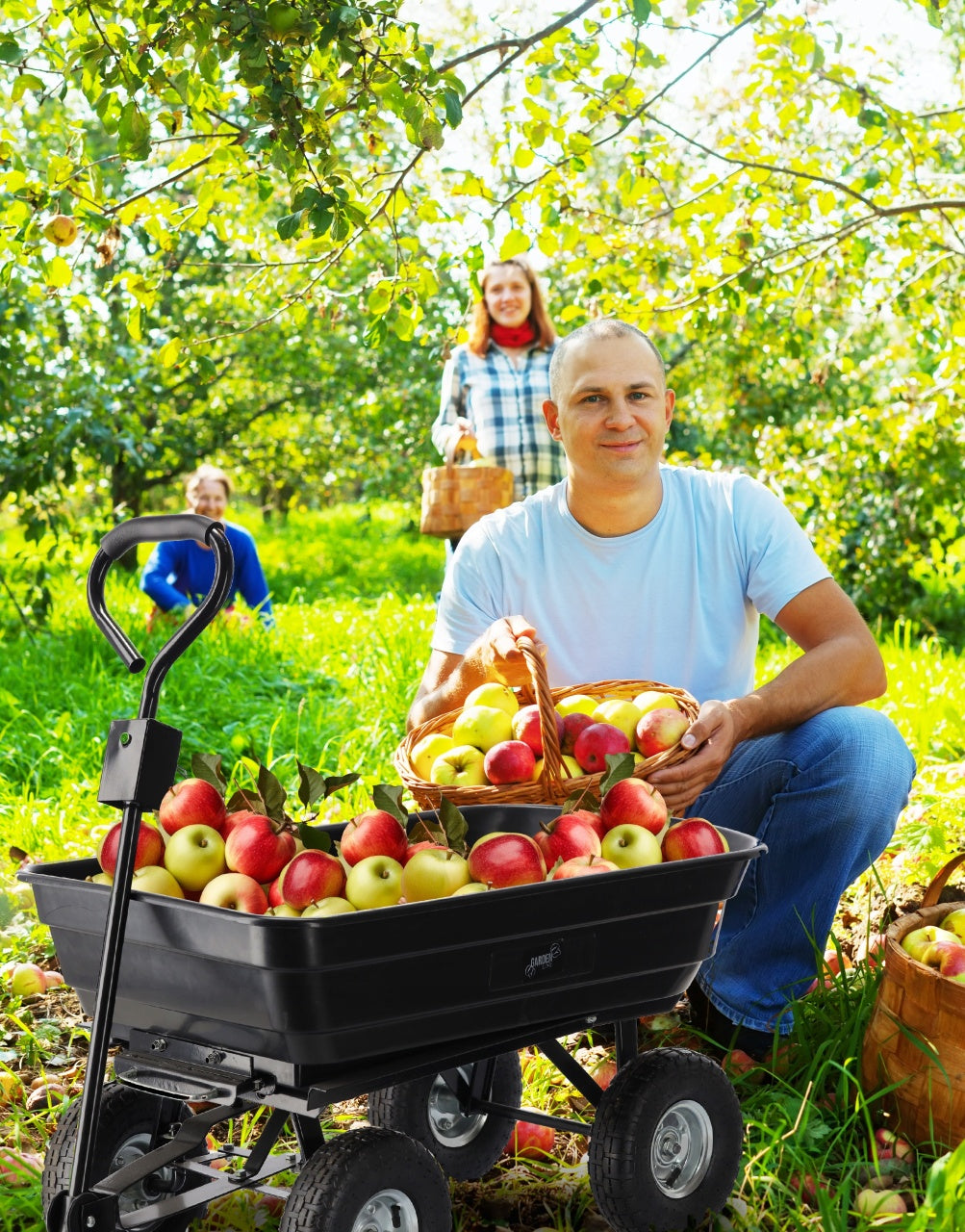 Baštenska/transportna kolica Garden Line, 300 kg, 75 L Black