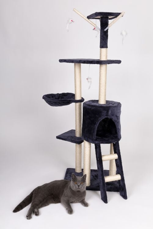 Češko za mačke 138cm XL gray