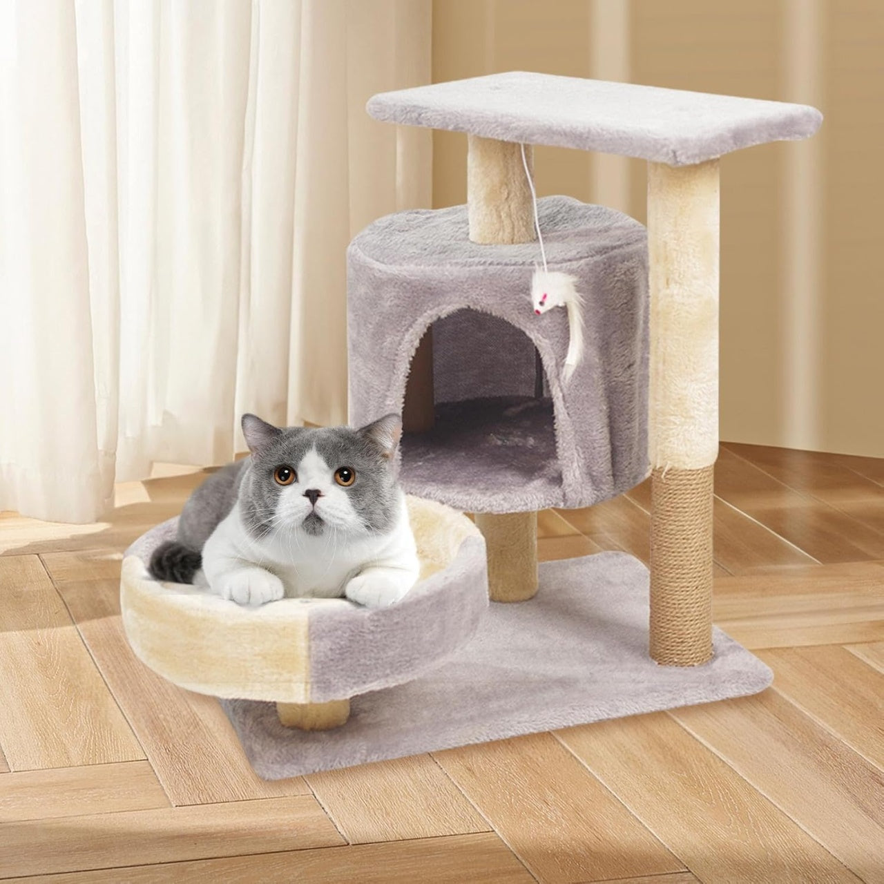 CESKO ZA MACKE PINI LIGHT GRAY