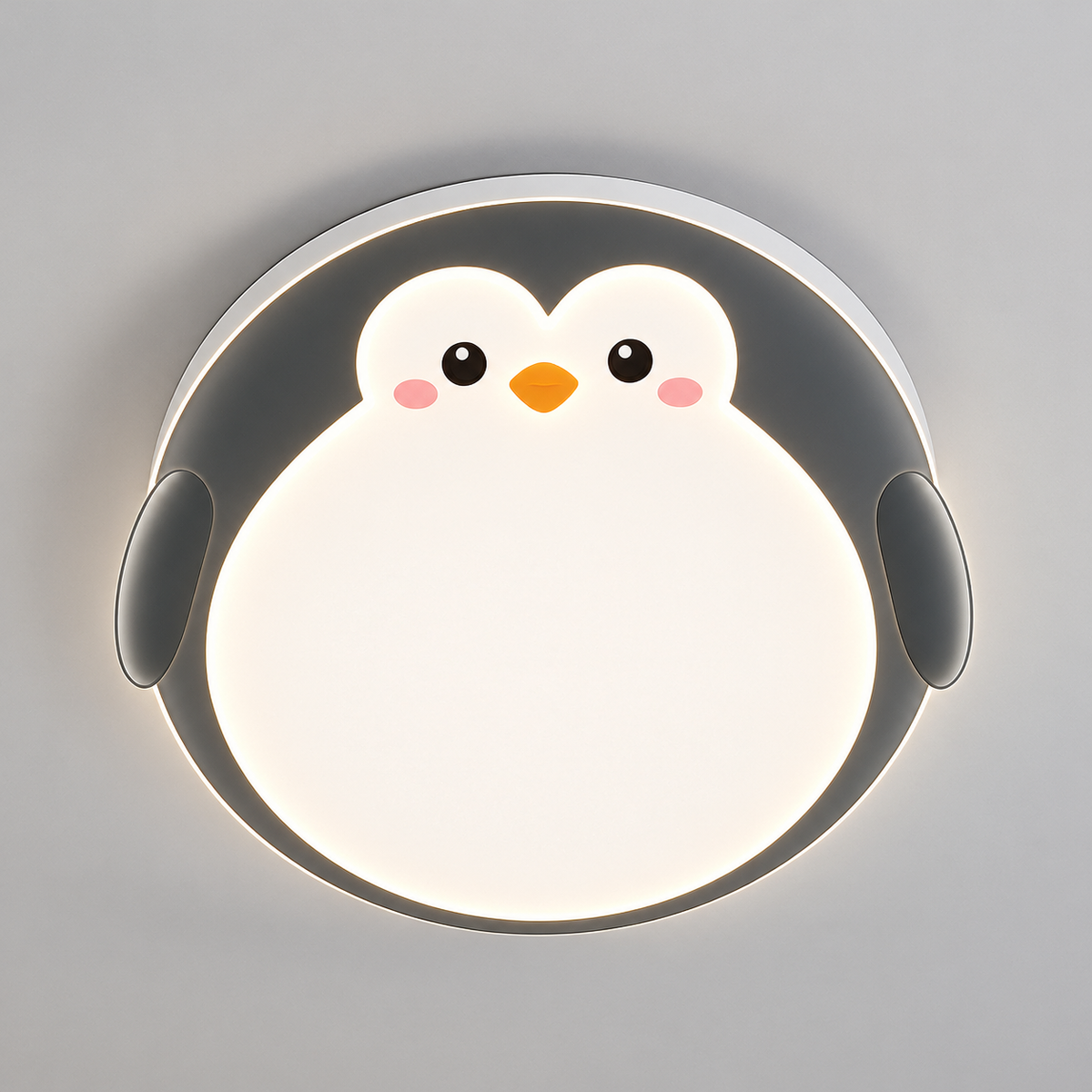 LED Plafonjera R-B017