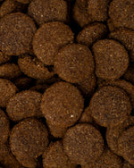 PET PRO BEEF Suva hrana za odrasle pse sa govedinom i svinjetinom 12kg