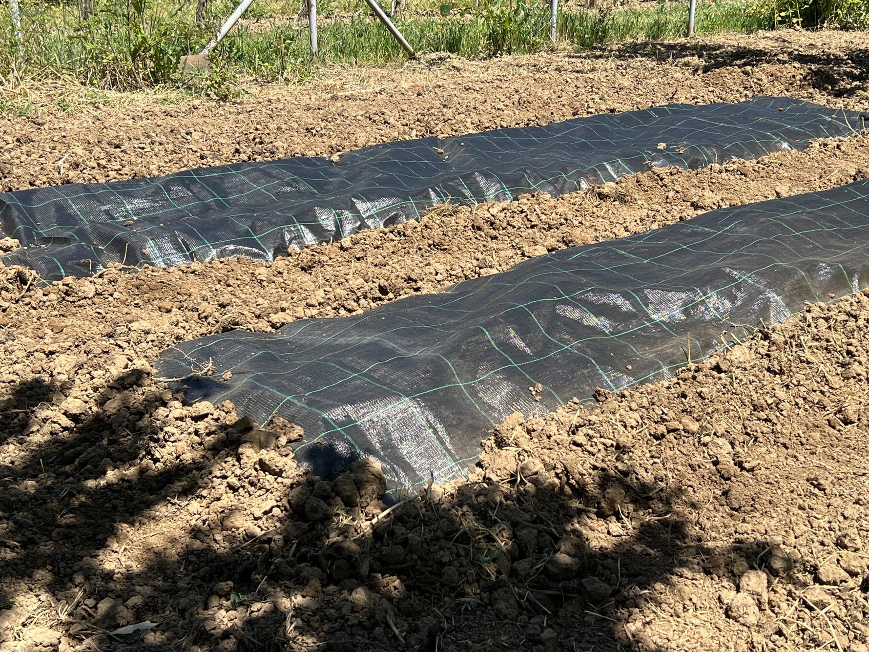 Agrotekstilna folija 1.5x30m Premium ground cover