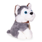 Plišana igračka za decu, štene Husky, torba + četka za negu