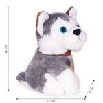 Plišana igračka za decu, štene Husky, torba + četka za negu