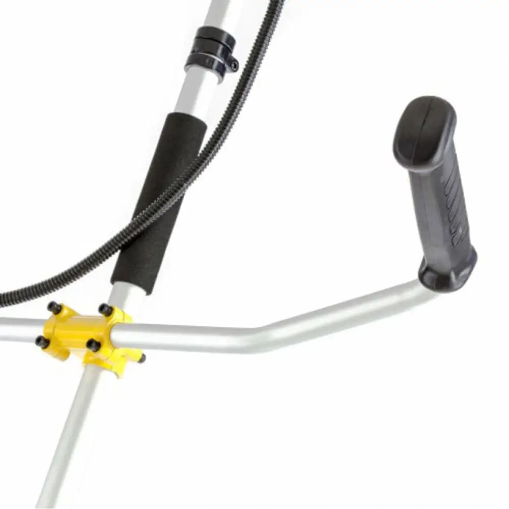 Set trimera Denzel TE-250 + DT-52 – električni i motorni trimer za kompletno održavanje dvorišta