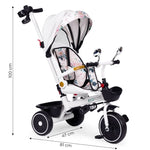 Tricikl za decu sa rotirajućim sedištem, gurajućim rukohvatom i tendom white, ECOTOYS