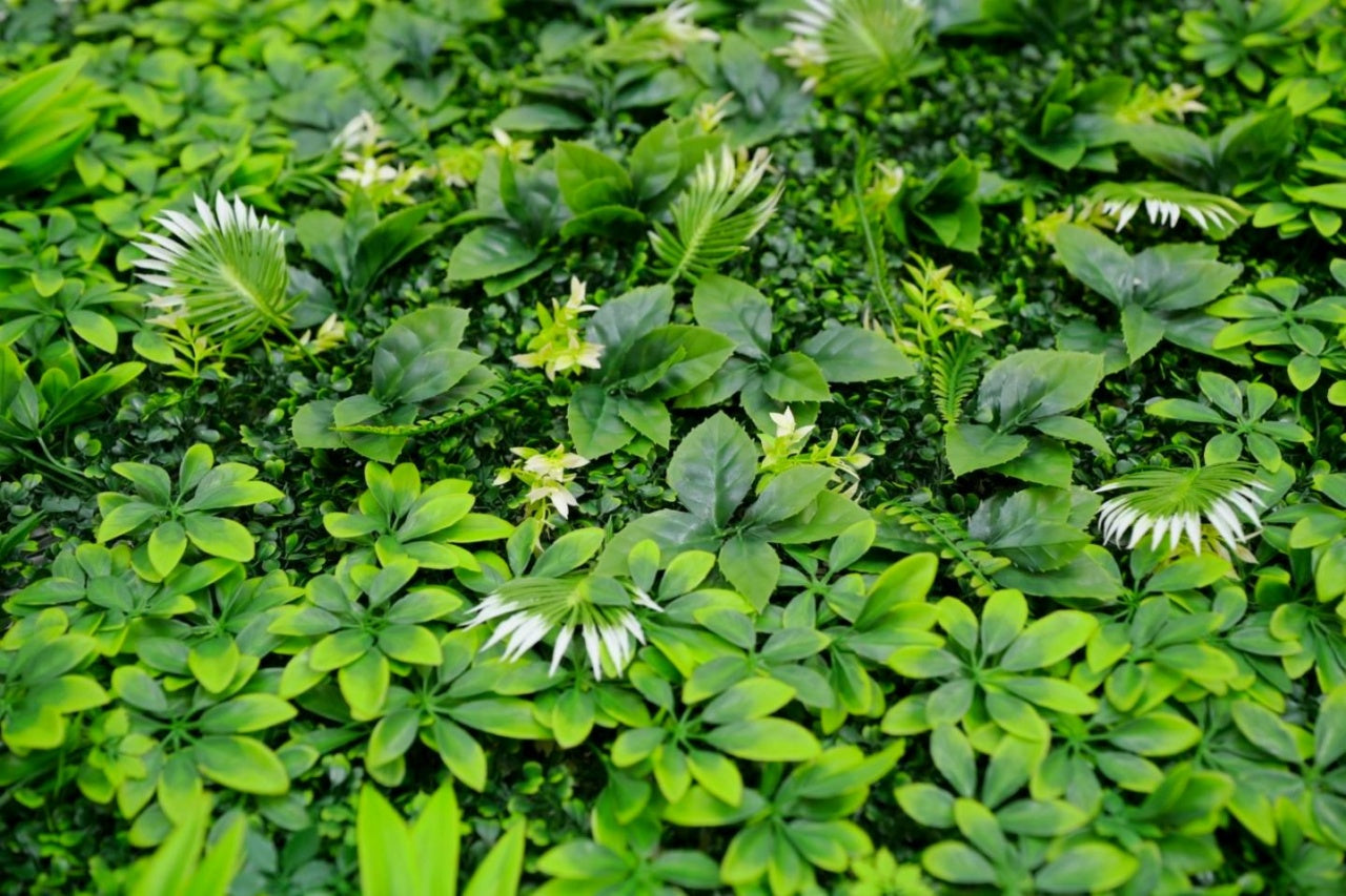Image alt